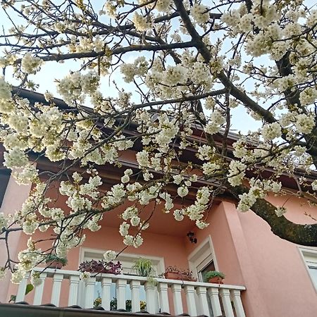 Apartman Nada Krapina Exterior foto
